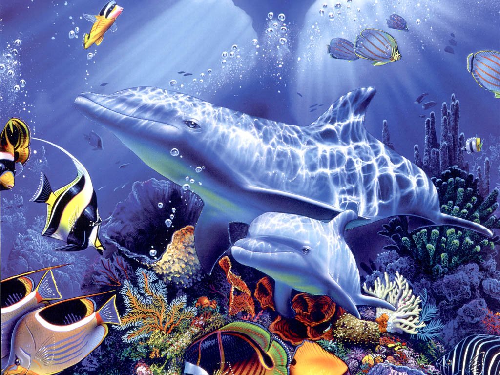 delfin13.jpg