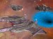 10babylon5.jpg
