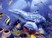 delfin13.jpg